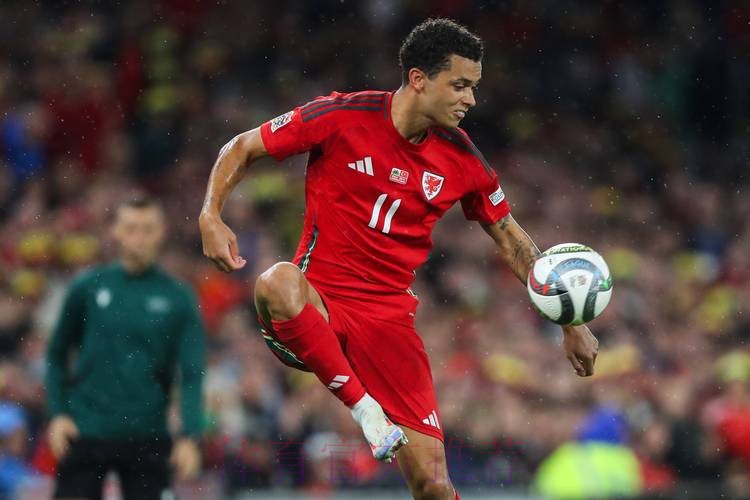 世体：红牌罚下贝林的裁判遭网暴后关闭社媒评论